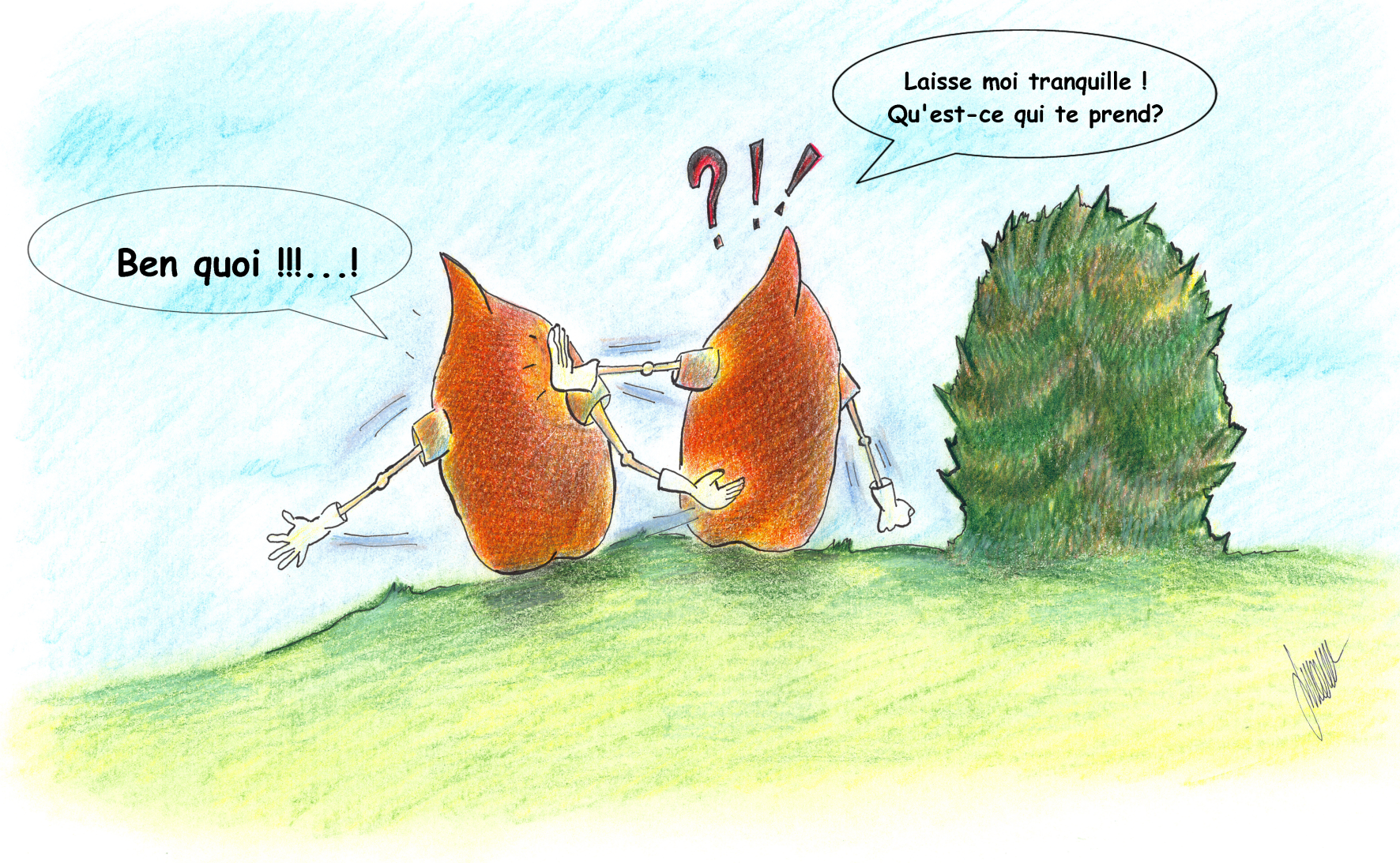 les petites graines